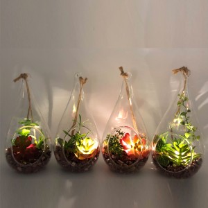 Pianta succulente artificiale decorativa da tavolo di vetro del LED con il vaso di visualizzazione del globo