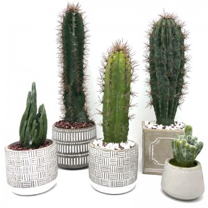 Casa o ufficio artificiale moderna del cactus nella decorazione succulente del vaso decorativo